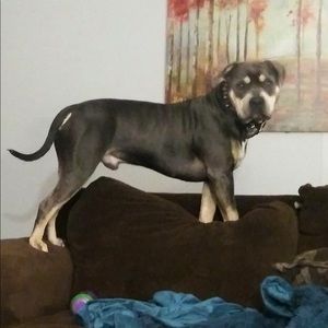 Meet your Posher, Austin